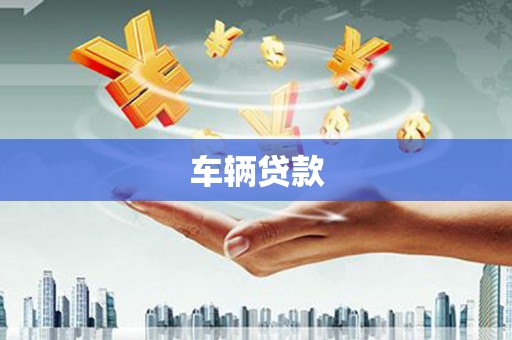 广水车辆贷款