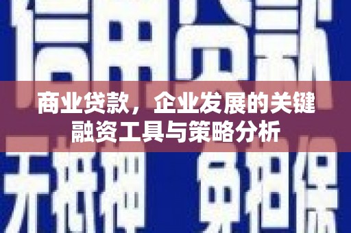 广水商业贷款，企业发展的关键融资工具与策略分析