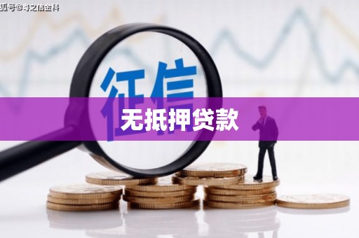广水无抵押贷款