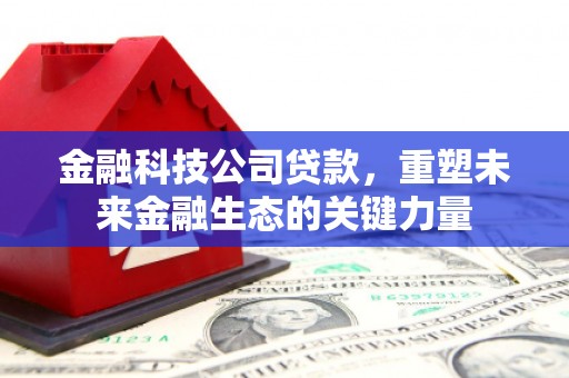 广水金融科技公司贷款，重塑未来金融生态的关键力量