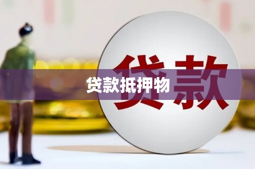 广水贷款抵押物