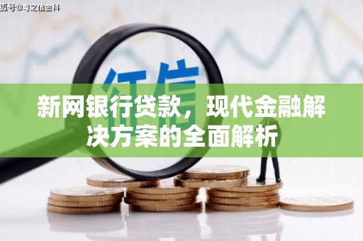 广水新网银行贷款，现代金融解决方案的全面解析