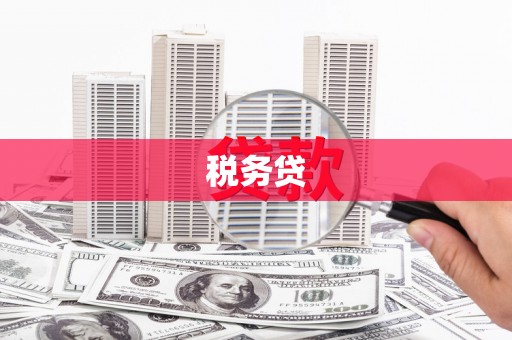 广水税务贷