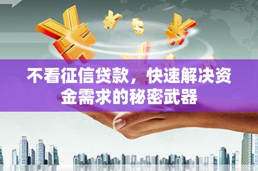广水不看征信贷款，快速解决资金需求的秘密武器