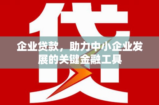 广水企业贷款，助力中小企业发展的关键金融工具