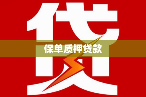 广水保单质押贷款