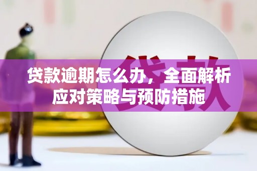 广水贷款逾期怎么办，全面解析应对策略与预防措施