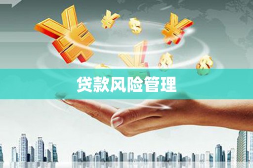 广水贷款风险管理