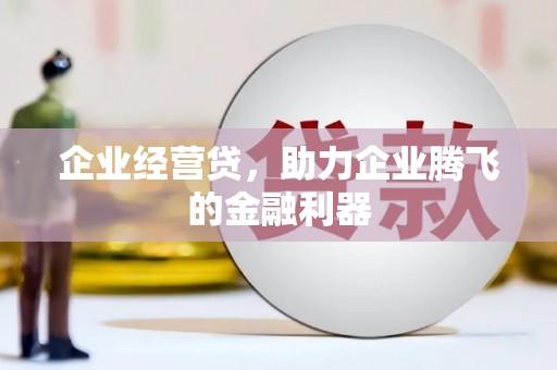 广水企业经营贷，助力企业腾飞的金融利器