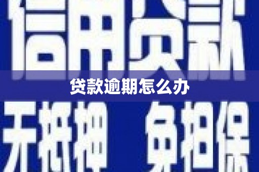 广水贷款逾期怎么办