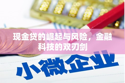广水现金贷的崛起与风险，金融科技的双刃剑