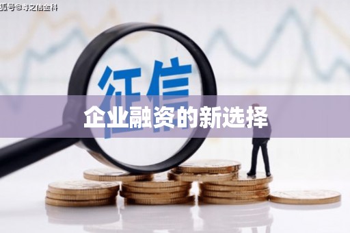 广水企业融资的新选择