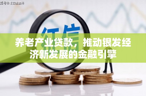 广水养老产业贷款，推动银发经济新发展的金融引擎