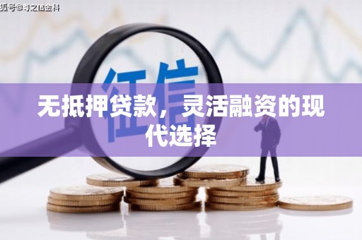广水无抵押贷款，灵活融资的现代选择
