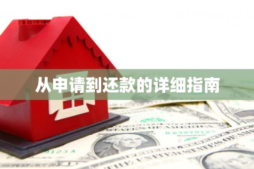 广水从申请到还款的详细指南