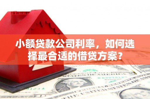广水小额贷款公司利率，如何选择最合适的借贷方案？