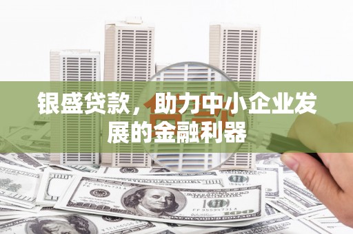 广水银盛贷款，助力中小企业发展的金融利器