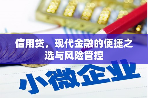 广水信用贷，现代金融的便捷之选与风险管控