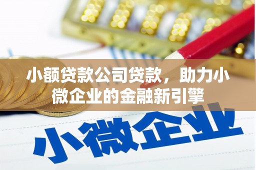 广水小额贷款公司贷款，助力小微企业的金融新引擎