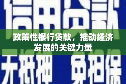 广水政策性银行贷款，推动经济发展的关键力量