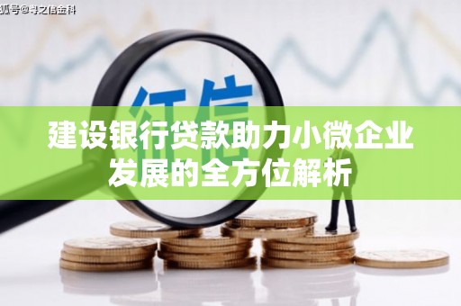 广水建设银行贷款助力小微企业发展的全方位解析