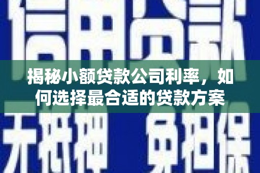 广水揭秘小额贷款公司利率，如何选择最合适的贷款方案