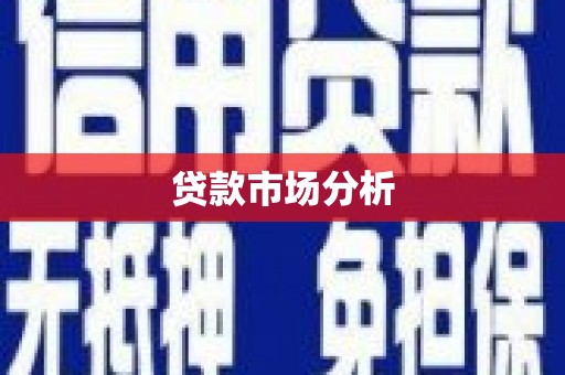 广水贷款市场分析