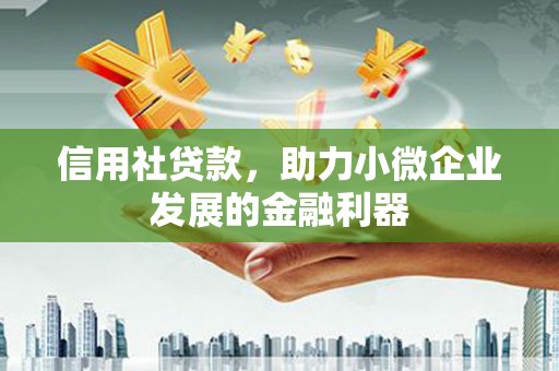 广水信用社贷款，助力小微企业发展的金融利器