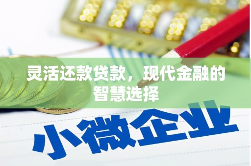 广水灵活还款贷款，现代金融的智慧选择