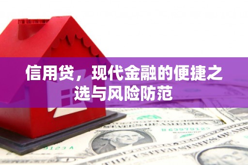 广水信用贷，现代金融的便捷之选与风险防范