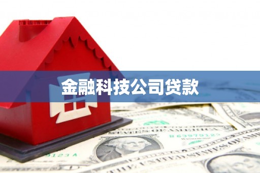广水金融科技公司贷款
