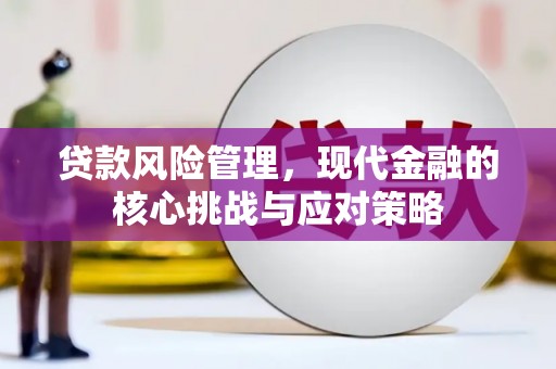 广水贷款风险管理，现代金融的核心挑战与应对策略