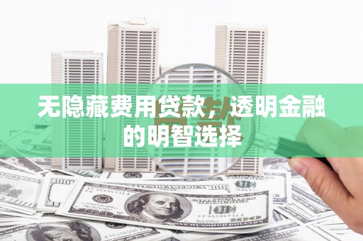 广水无隐藏费用贷款，透明金融的明智选择