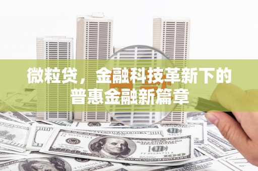 广水微粒贷，金融科技革新下的普惠金融新篇章