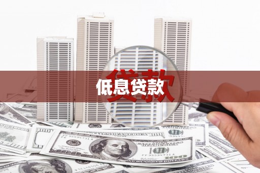 广水低息贷款