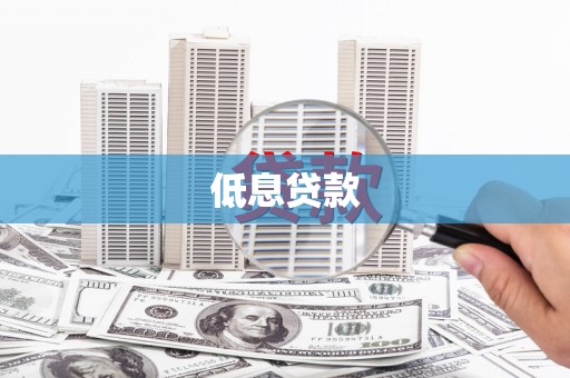 广水低息贷款