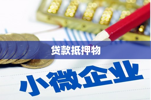广水贷款抵押物