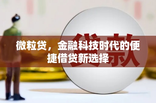 广水微粒贷，金融科技时代的便捷借贷新选择
