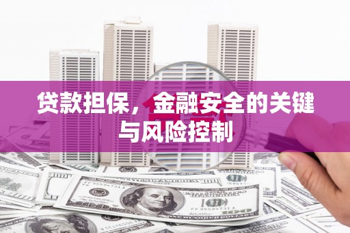 广水贷款担保，金融安全的关键与风险控制