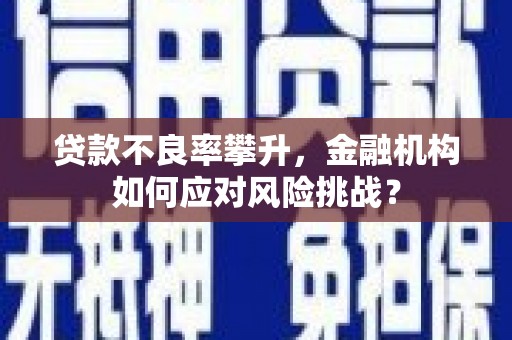 广水贷款不良率攀升，金融机构如何应对风险挑战？