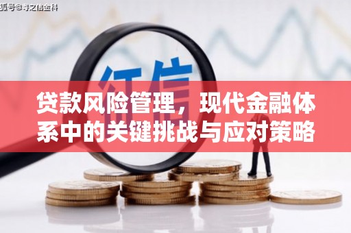 广水贷款风险管理，现代金融体系中的关键挑战与应对策略