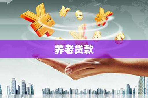 广水养老贷款