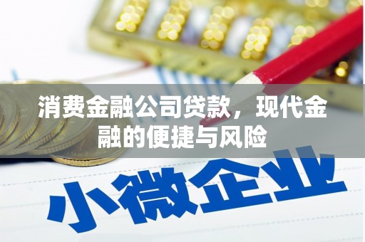 广水消费金融公司贷款，现代金融的便捷与风险