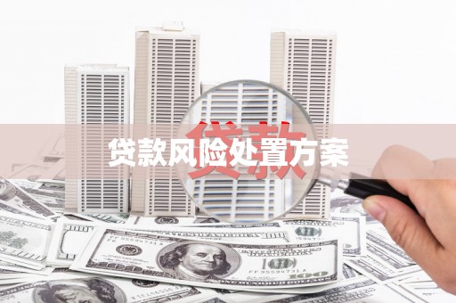 广水贷款风险处置方案