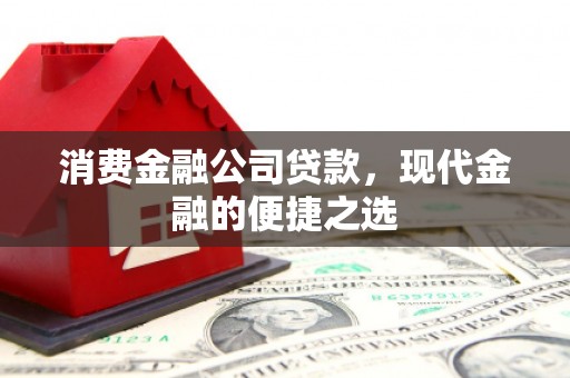 广水消费金融公司贷款，现代金融的便捷之选