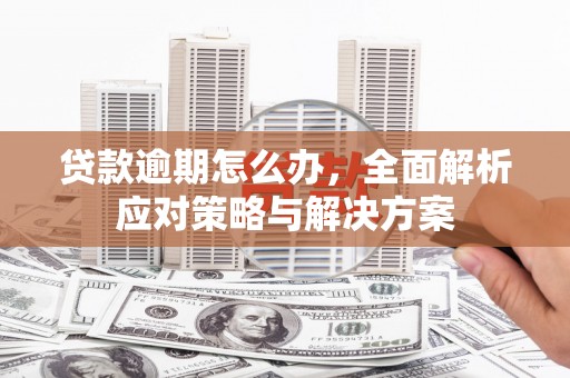 广水贷款逾期怎么办，全面解析应对策略与解决方案