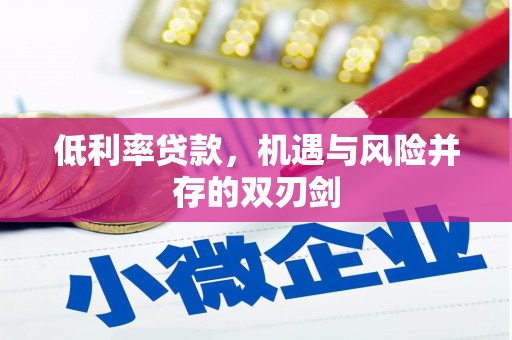 广水低利率贷款，机遇与风险并存的双刃剑