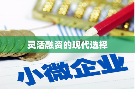 广水灵活融资的现代选择