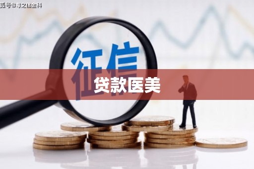 广水贷款医美