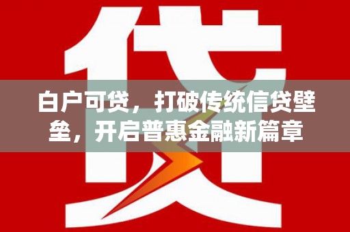 广水白户可贷，打破传统信贷壁垒，开启普惠金融新篇章